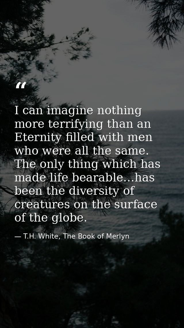 I can imagine nothing more terrifying than an Eternity filled with men who were all the same. The only thing which has m — T.H. White, The Book of Merlyn