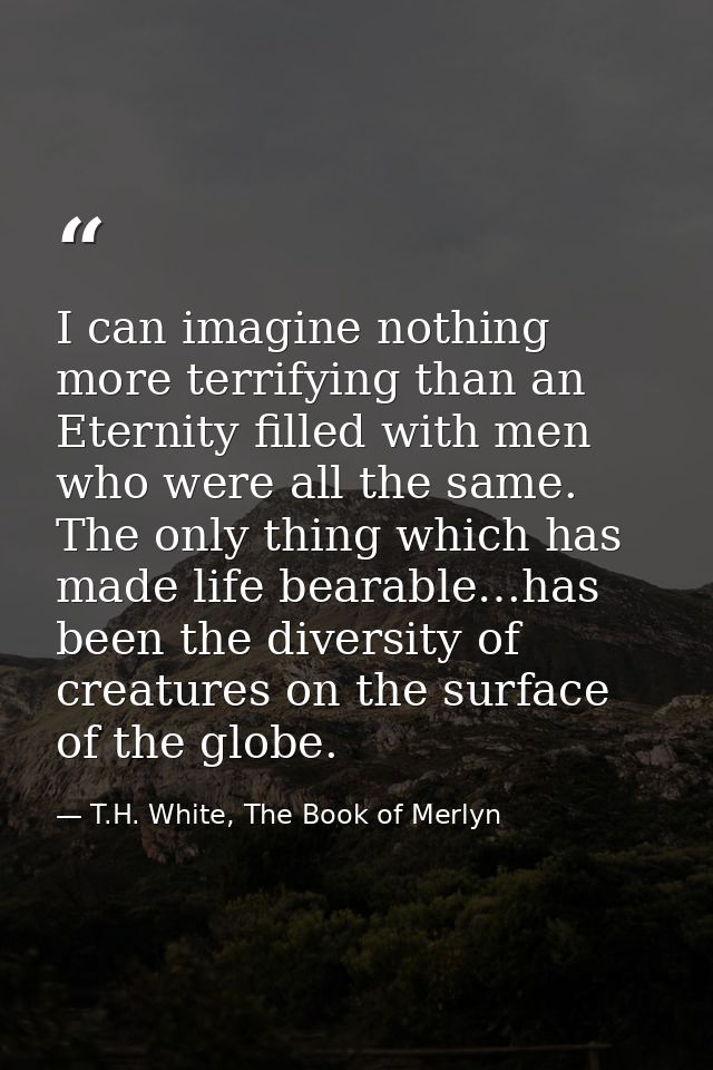 I can imagine nothing more terrifying than an Eternity filled with men who were all the same. The only thing which has m — T.H. White, The Book of Merlyn