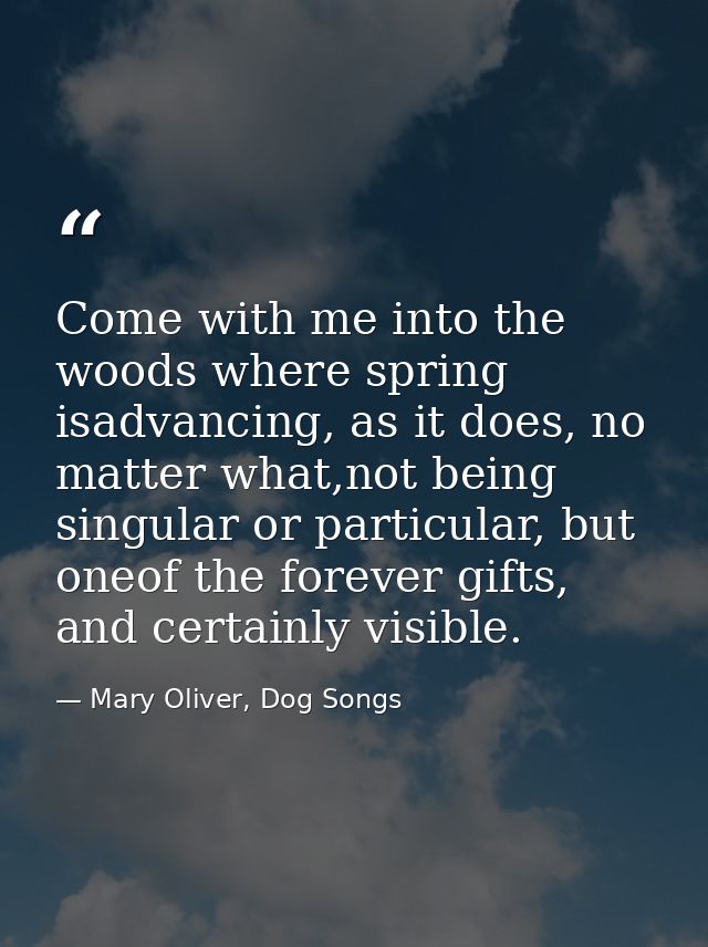 Come with me into the woods where spring isadvancing, as it does, no matter what,not being singular or particular, but o — Mary Oliver, Dog Songs