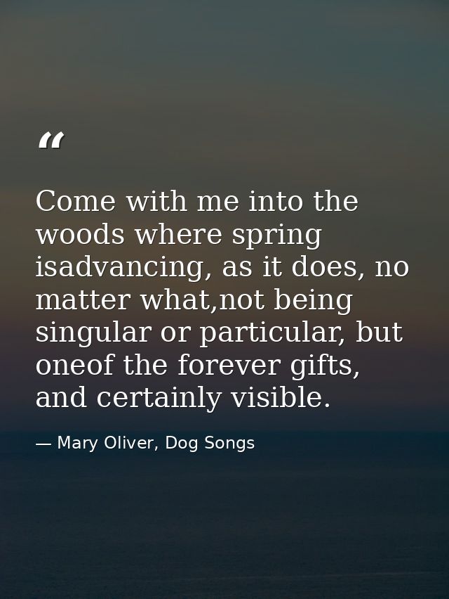 Come with me into the woods where spring isadvancing, as it does, no matter what,not being singular or particular, but o — Mary Oliver, Dog Songs