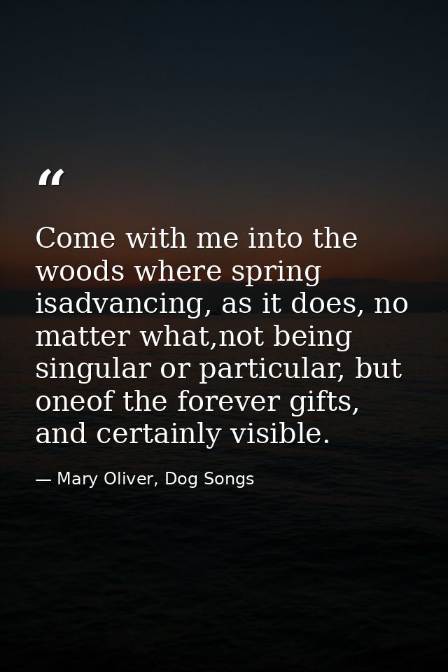 Come with me into the woods where spring isadvancing, as it does, no matter what,not being singular or particular, but o — Mary Oliver, Dog Songs