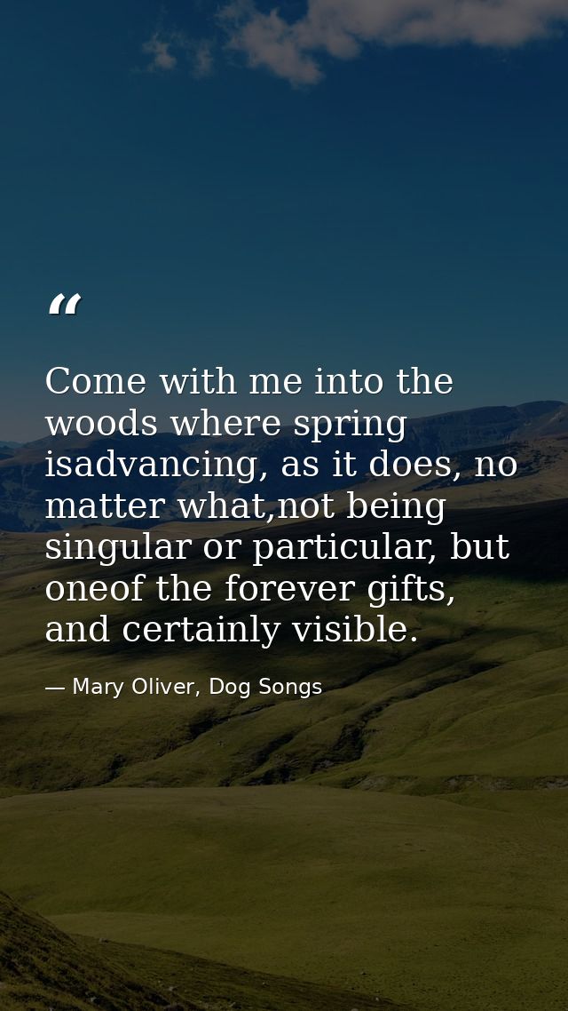 Come with me into the woods where spring isadvancing, as it does, no matter what,not being singular or particular, but o — Mary Oliver, Dog Songs