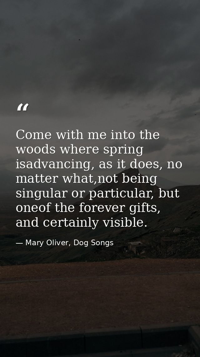 Come with me into the woods where spring isadvancing, as it does, no matter what,not being singular or particular, but o — Mary Oliver, Dog Songs