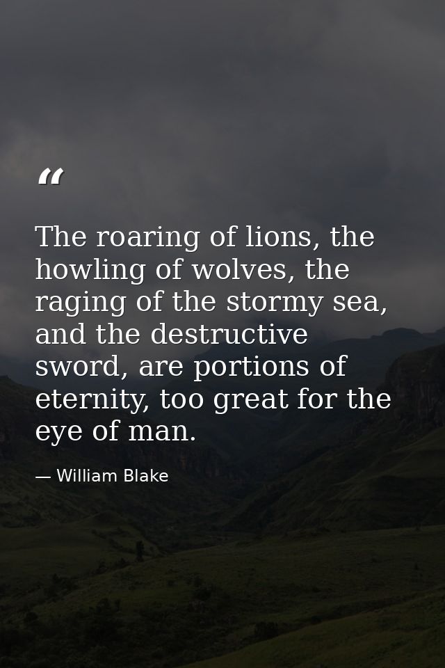 The roaring of lions, the howling of wolves, the raging of the stormy sea, and the destructive sword, are portions of et — William Blake