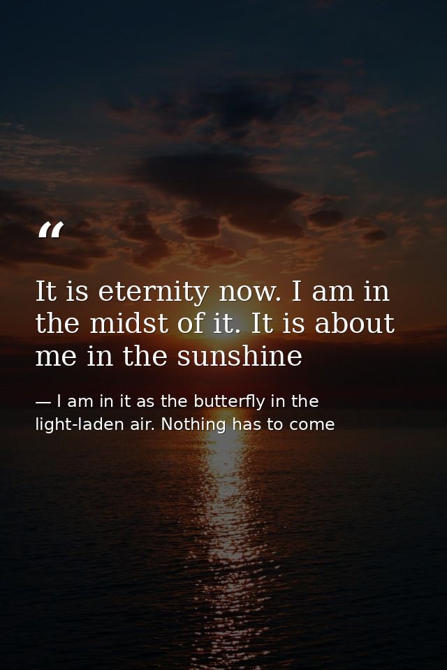 It is eternity now. I am in the midst of it. It is about me in the sunshine — I am in it as the butterfly in the light-laden air. Nothing has to come