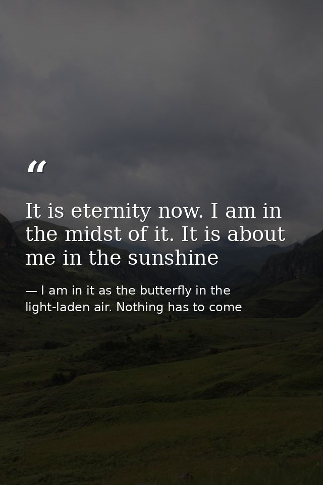It is eternity now. I am in the midst of it. It is about me in the sunshine — I am in it as the butterfly in the light-laden air. Nothing has to come