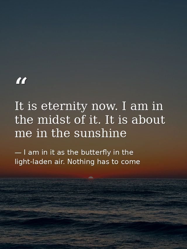 It is eternity now. I am in the midst of it. It is about me in the sunshine — I am in it as the butterfly in the light-laden air. Nothing has to come