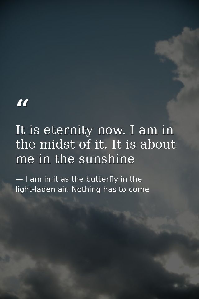 It is eternity now. I am in the midst of it. It is about me in the sunshine — I am in it as the butterfly in the light-laden air. Nothing has to come