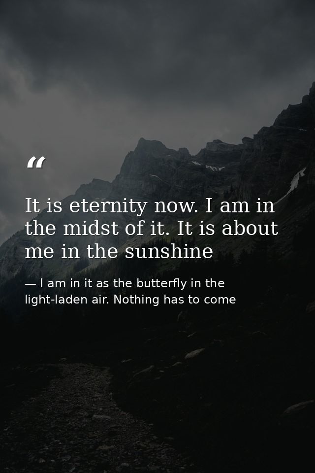 It is eternity now. I am in the midst of it. It is about me in the sunshine — I am in it as the butterfly in the light-laden air. Nothing has to come