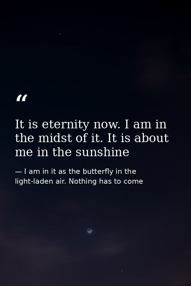 It is eternity now. I am in the midst of it. It is about me in the sunshine — I am in it as the butterfly in the light-laden air. Nothing has to come
