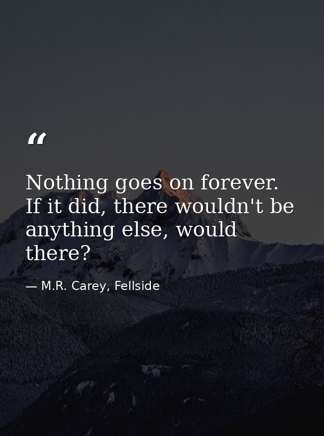 Nothing goes on forever. If it did, there wouldn't be anything else, would there? — M.R. Carey, Fellside