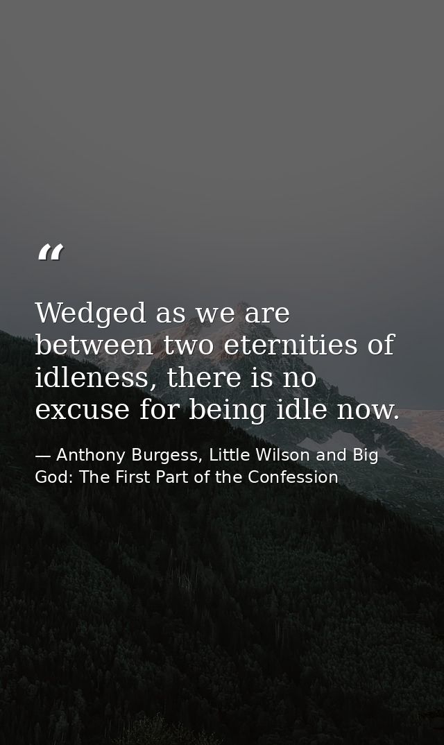 Wedged as we are between two eternities of idleness, there is no excuse for being idle now. — Anthony Burgess, Little Wilson and Big God: The First Part of the Confession