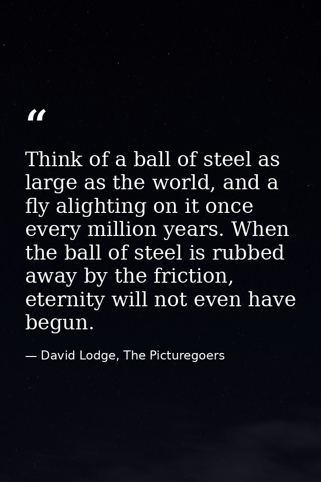 Think of a ball of steel as large as the world, and a fly alighting on it once every million years. When the ball of ste — David Lodge, The Picturegoers