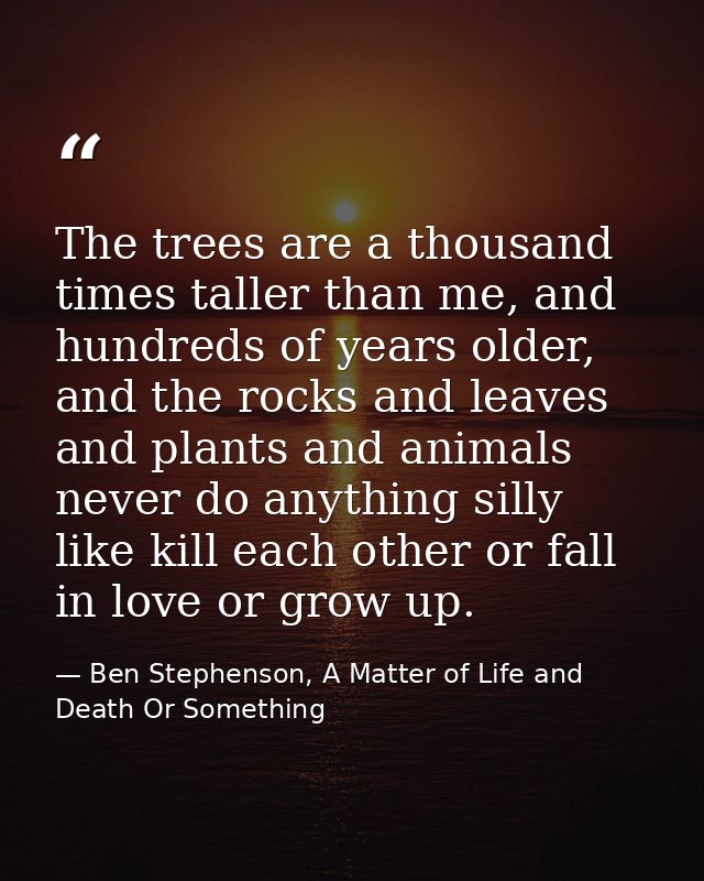 The trees are a thousand times taller than me, and hundreds of years older, and the rocks and leaves and plants and anim — Ben Stephenson, A Matter of Life and Death Or Something