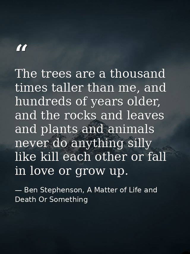 The trees are a thousand times taller than me, and hundreds of years older, and the rocks and leaves and plants and anim — Ben Stephenson, A Matter of Life and Death Or Something