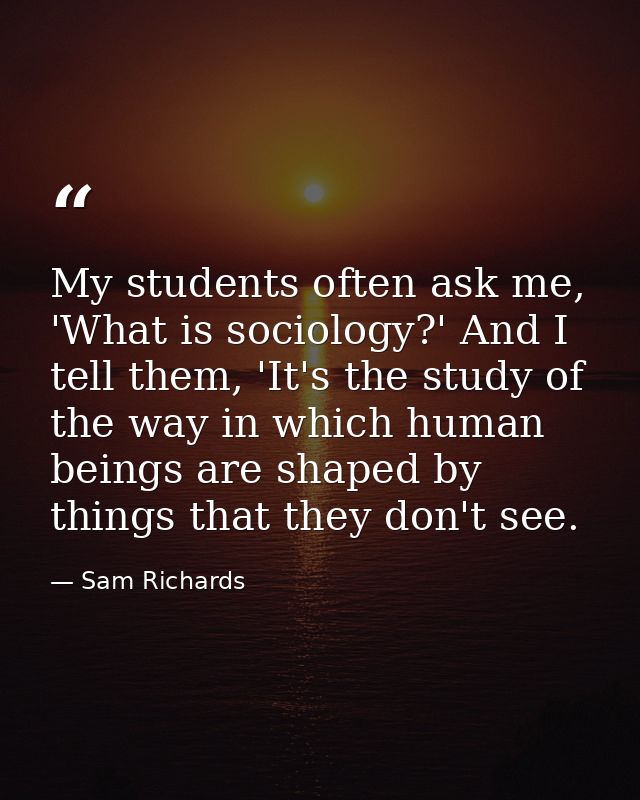 My students often ask me, 'What is sociology?' And I tell them, 'It's the study of the way in which human beings are sha — Sam Richards