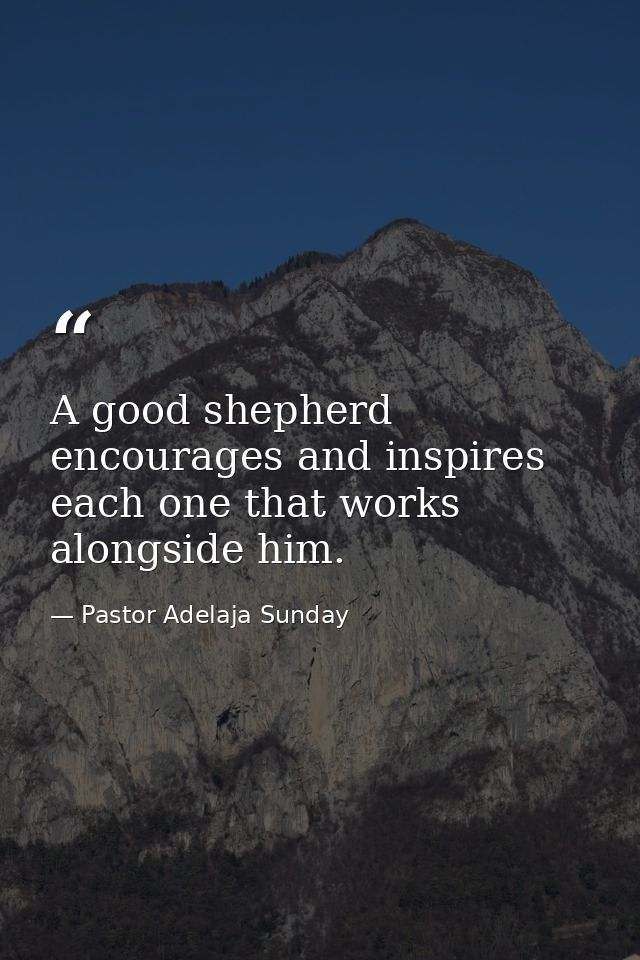 A good shepherd encourages and inspires each one that works alongside him. — Pastor Adelaja Sunday