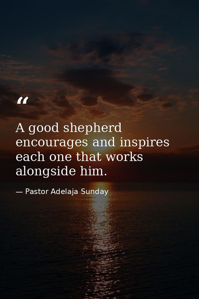 A good shepherd encourages and inspires each one that works alongside him. — Pastor Adelaja Sunday