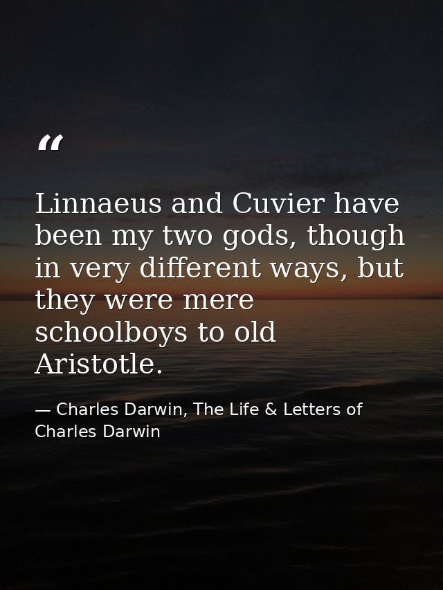 Linnaeus and Cuvier have been my two gods, though in very different ways, but they were mere schoolboys to old Aristotle — Charles Darwin, The Life & Letters of Charles Darwin