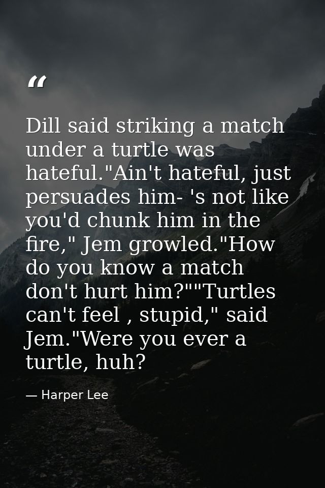 Dill said striking a match under a turtle was hateful."Ain't hateful, just persuades him- 's not like you'd chunk him in — Harper Lee