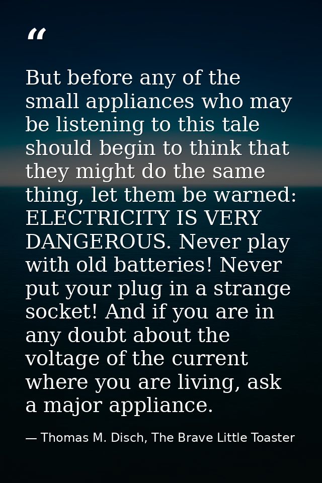 But before any of the small appliances who may be listening to this tale should begin to think that they might do the sa — Thomas M. Disch, The Brave Little Toaster