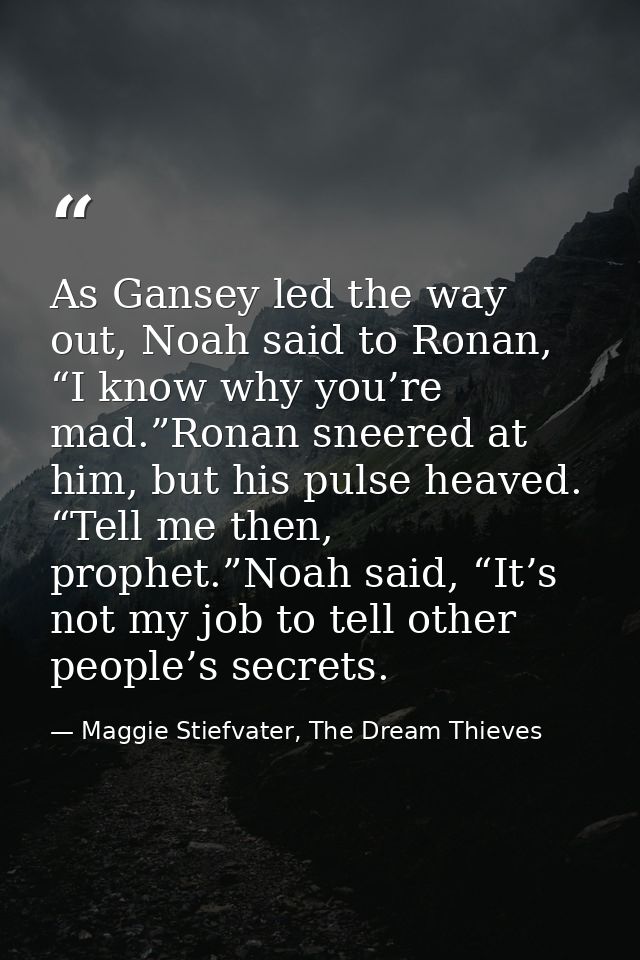 As Gansey led the way out, Noah said to Ronan, “I know why you’re mad.”Ronan sneered at him, but his pulse heaved. “Tell — Maggie Stiefvater, The Dream Thieves