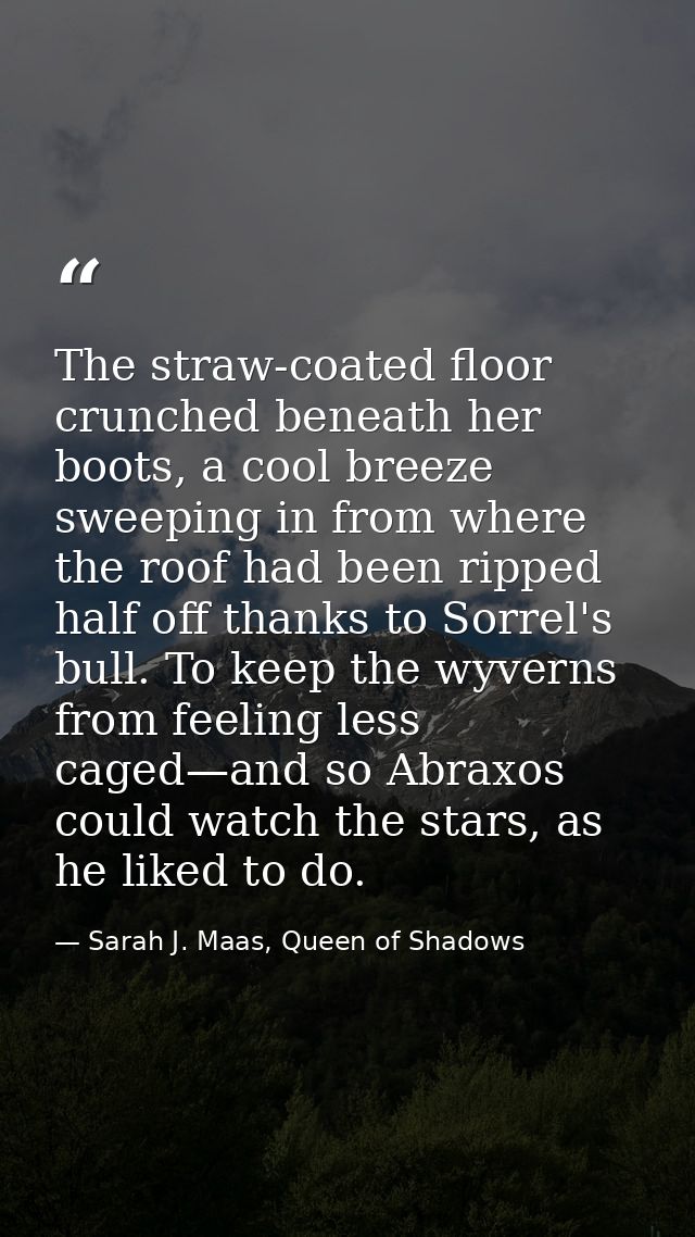 The straw-coated floor crunched beneath her boots, a cool breeze sweeping in from where the roof had been ripped half of — Sarah J. Maas, Queen of Shadows