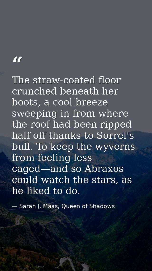 The straw-coated floor crunched beneath her boots, a cool breeze sweeping in from where the roof had been ripped half of — Sarah J. Maas, Queen of Shadows