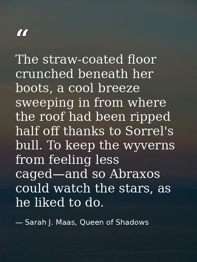 The straw-coated floor crunched beneath her boots, a cool breeze sweeping in from where the roof had been ripped half of — Sarah J. Maas, Queen of Shadows