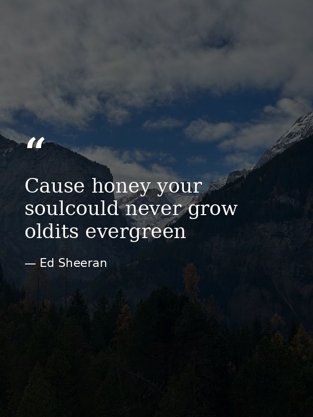 Cause honey your soulcould never grow oldits evergreen — Ed Sheeran