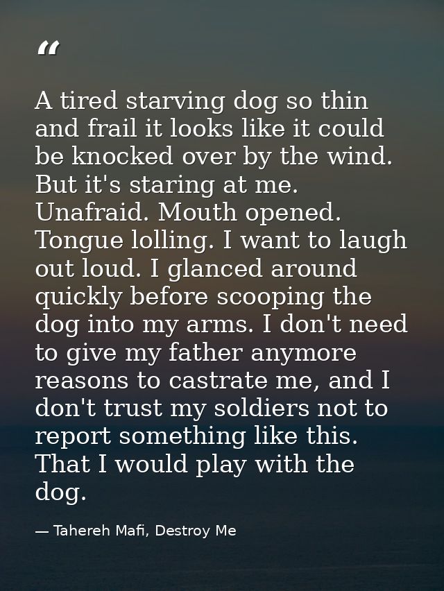 A tired starving dog so thin and frail it looks like it could be knocked over by the wind. But it's staring at me. Unafr — Tahereh Mafi, Destroy Me