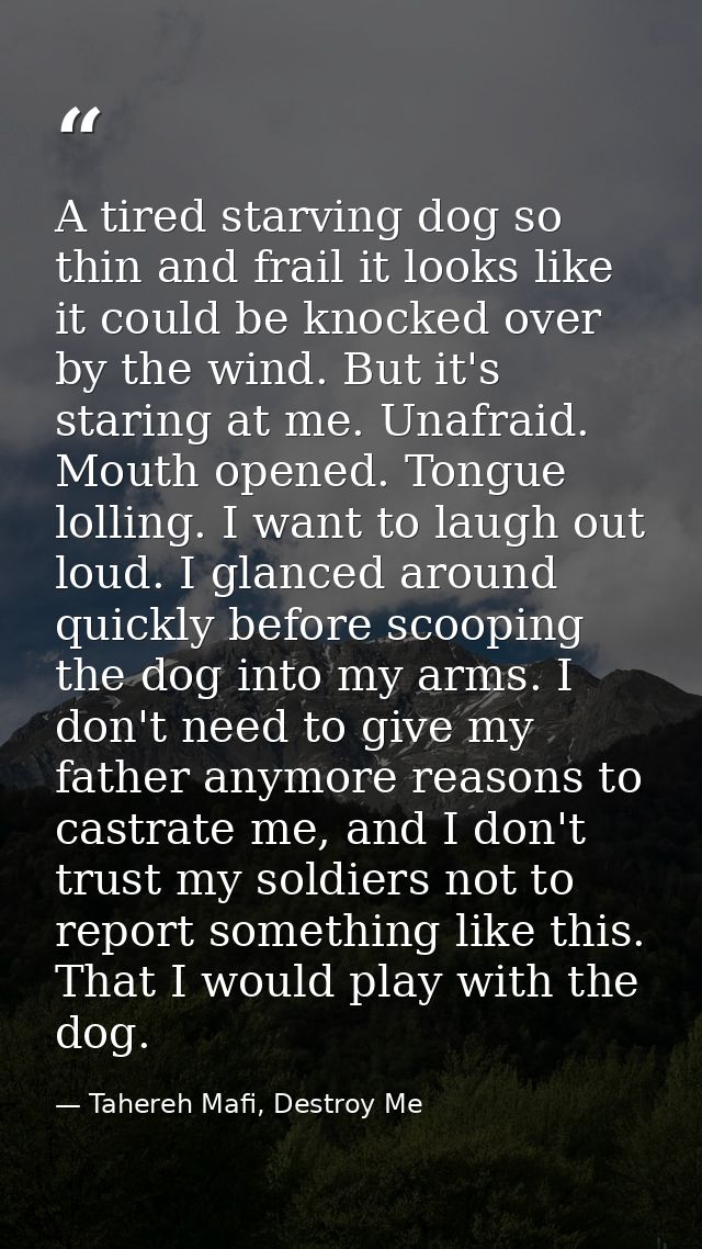A tired starving dog so thin and frail it looks like it could be knocked over by the wind. But it's staring at me. Unafr — Tahereh Mafi, Destroy Me