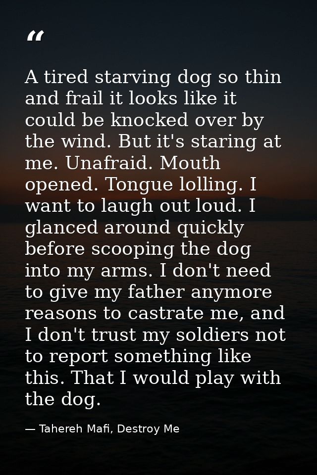 A tired starving dog so thin and frail it looks like it could be knocked over by the wind. But it's staring at me. Unafr — Tahereh Mafi, Destroy Me