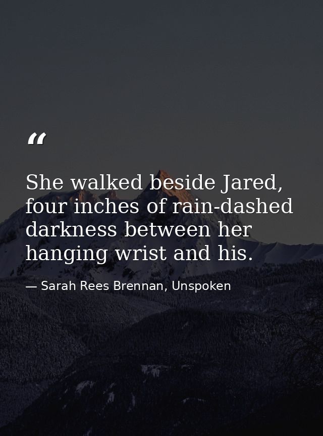 She walked beside Jared, four inches of rain-dashed darkness between her hanging wrist and his. — Sarah Rees Brennan, Unspoken