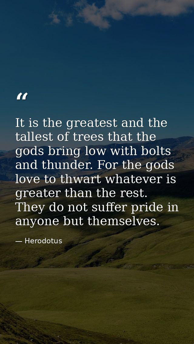 It is the greatest and the tallest of trees that the gods bring low with bolts and thunder. For the gods love to thwart  — Herodotus