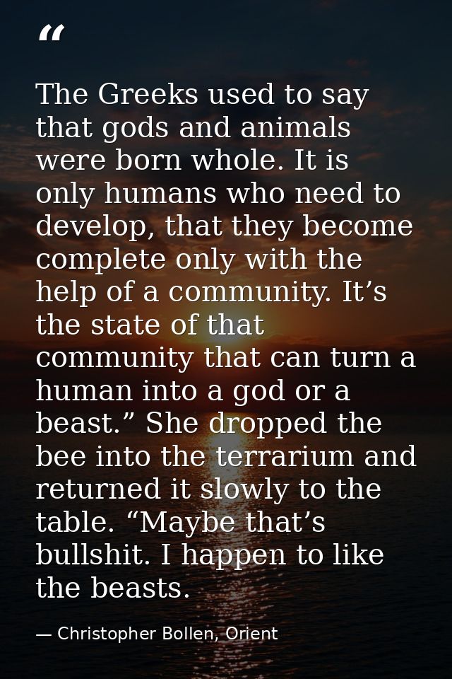 The Greeks used to say that gods and animals were born whole. It is only humans who need to develop, that they become co — Christopher Bollen, Orient