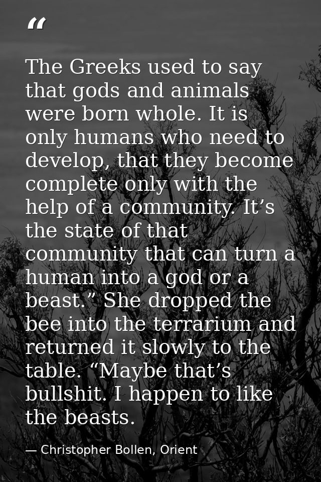 The Greeks used to say that gods and animals were born whole. It is only humans who need to develop, that they become co — Christopher Bollen, Orient