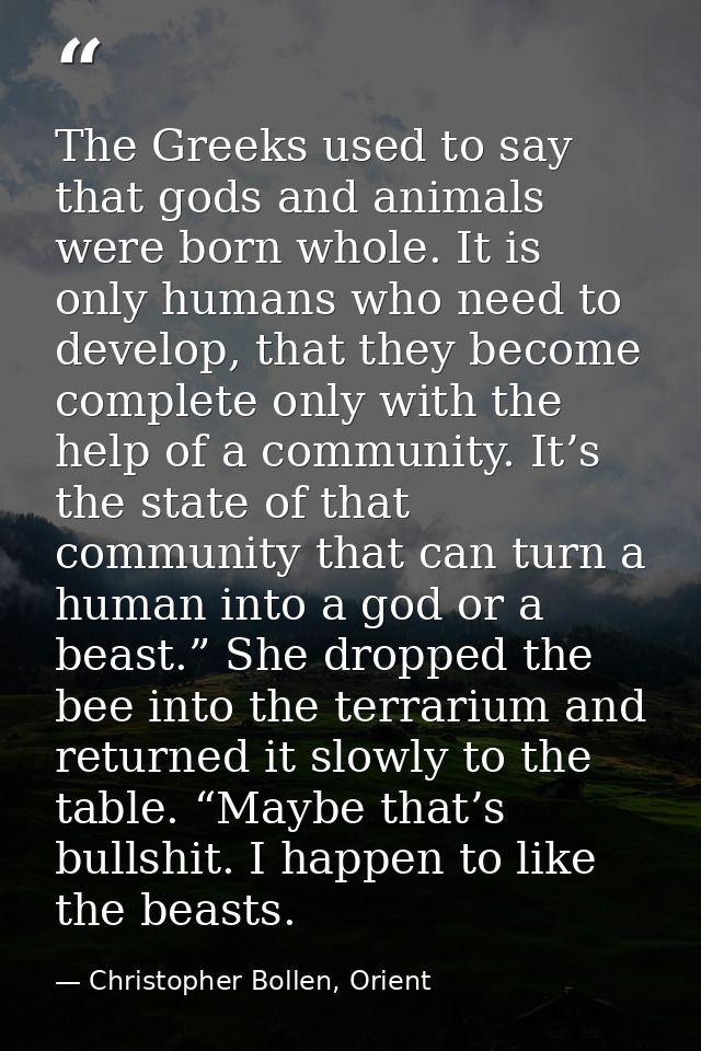 The Greeks used to say that gods and animals were born whole. It is only humans who need to develop, that they become co — Christopher Bollen, Orient