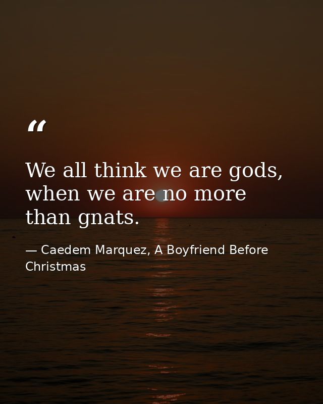 We all think we are gods, when we are no more than gnats. — Caedem Marquez, A Boyfriend Before Christmas