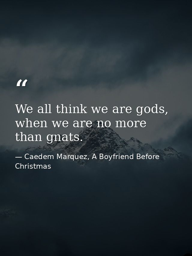We all think we are gods, when we are no more than gnats. — Caedem Marquez, A Boyfriend Before Christmas