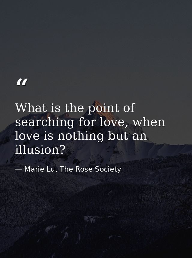 What is the point of searching for love, when love is nothing but an illusion? — Marie Lu, The Rose Society