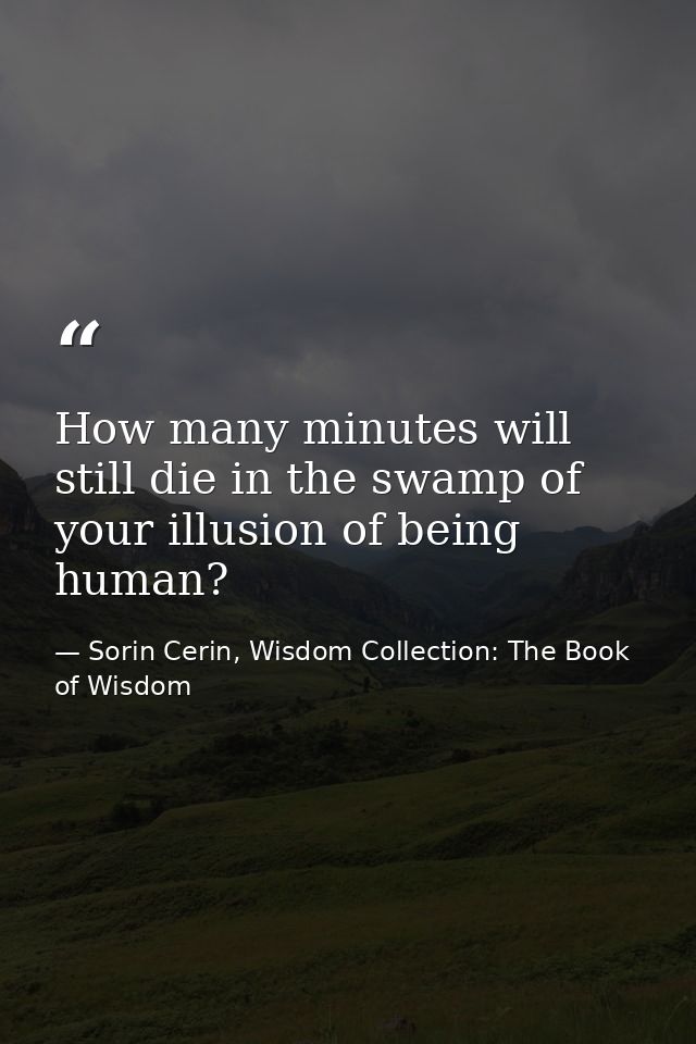 How many minutes will still die in the swamp of your illusion of being human? — Sorin Cerin, Wisdom Collection: The Book of Wisdom