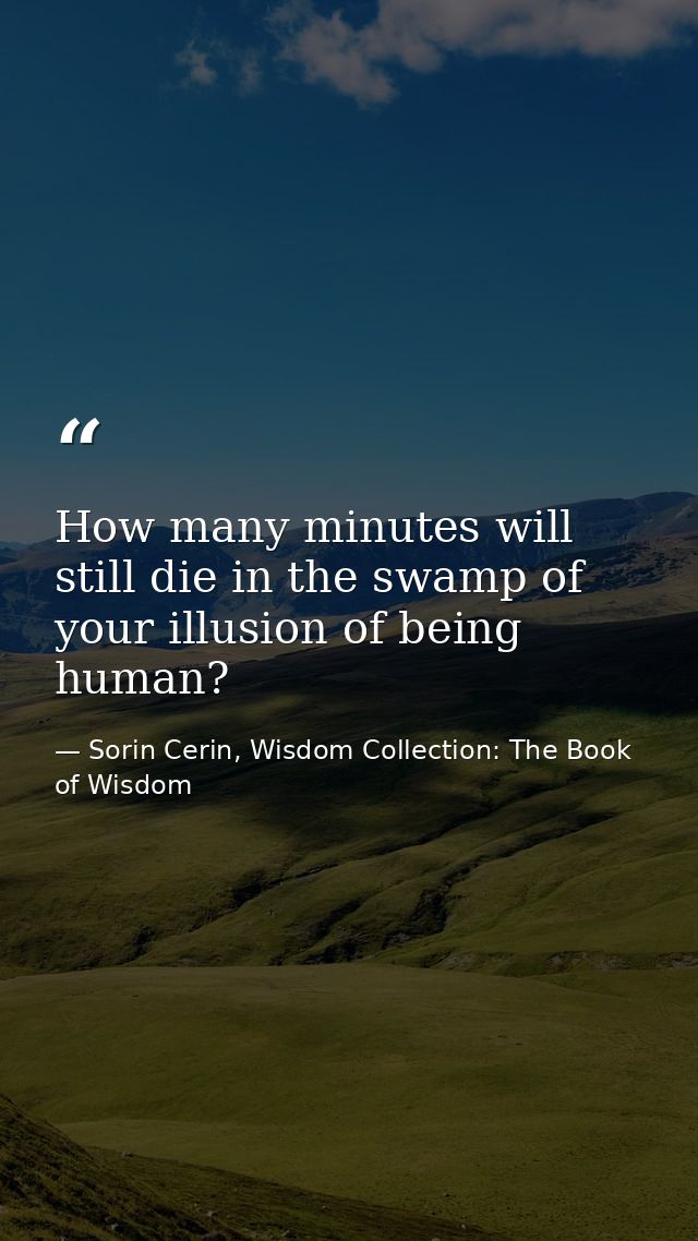 How many minutes will still die in the swamp of your illusion of being human? — Sorin Cerin, Wisdom Collection: The Book of Wisdom