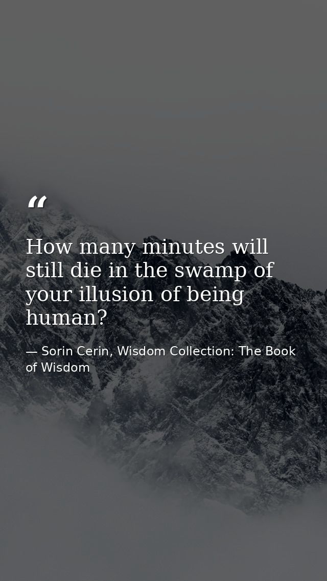 How many minutes will still die in the swamp of your illusion of being human? — Sorin Cerin, Wisdom Collection: The Book of Wisdom