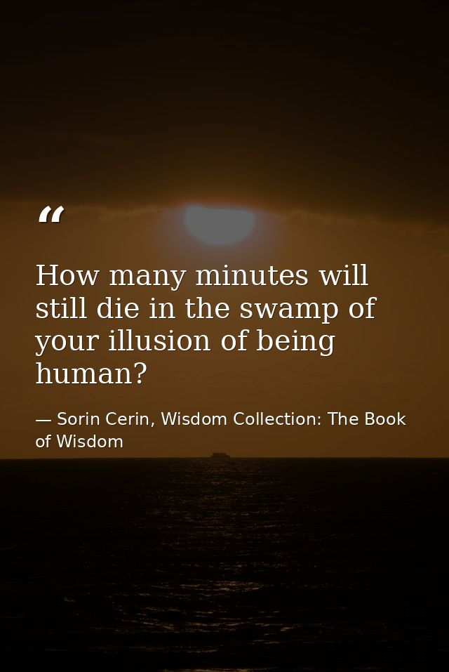 How many minutes will still die in the swamp of your illusion of being human? — Sorin Cerin, Wisdom Collection: The Book of Wisdom