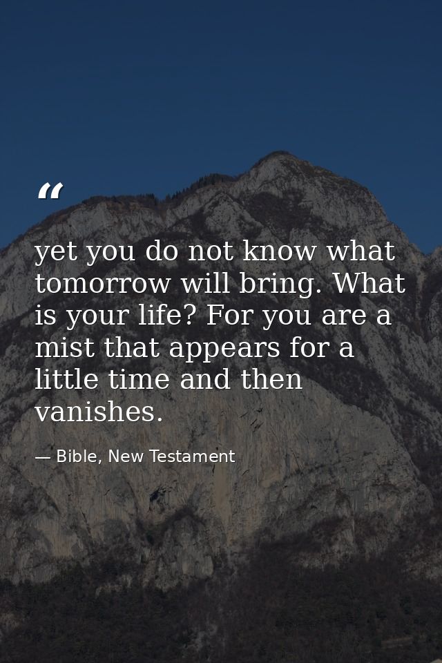 yet you do not know what tomorrow will bring. What is your life? For you are a mist that appears for a little time and t — Bible, New Testament