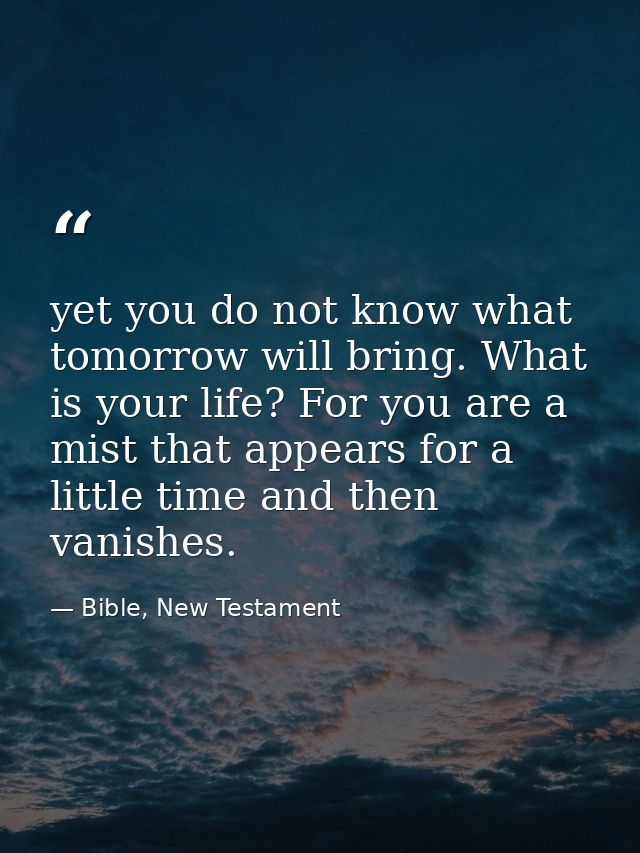 yet you do not know what tomorrow will bring. What is your life? For you are a mist that appears for a little time and t — Bible, New Testament