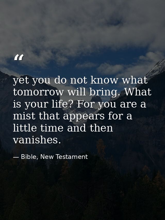 yet you do not know what tomorrow will bring. What is your life? For you are a mist that appears for a little time and t — Bible, New Testament