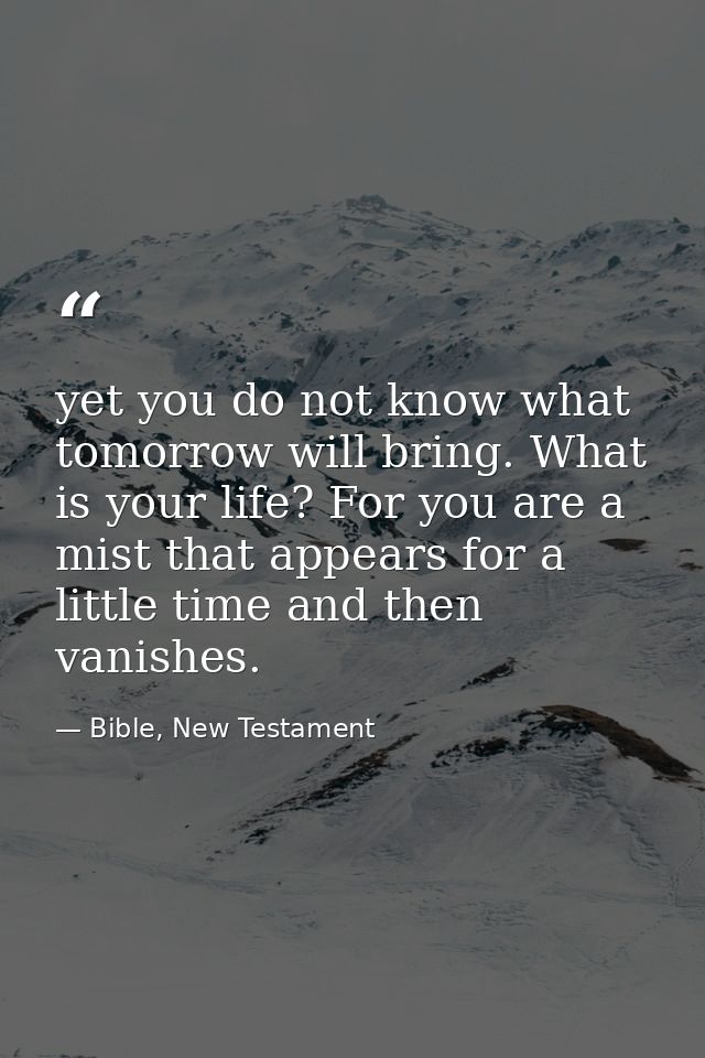 yet you do not know what tomorrow will bring. What is your life? For you are a mist that appears for a little time and t — Bible, New Testament