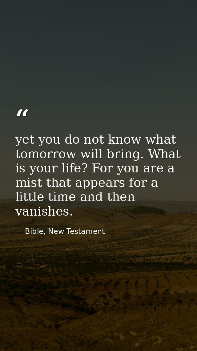 yet you do not know what tomorrow will bring. What is your life? For you are a mist that appears for a little time and t — Bible, New Testament